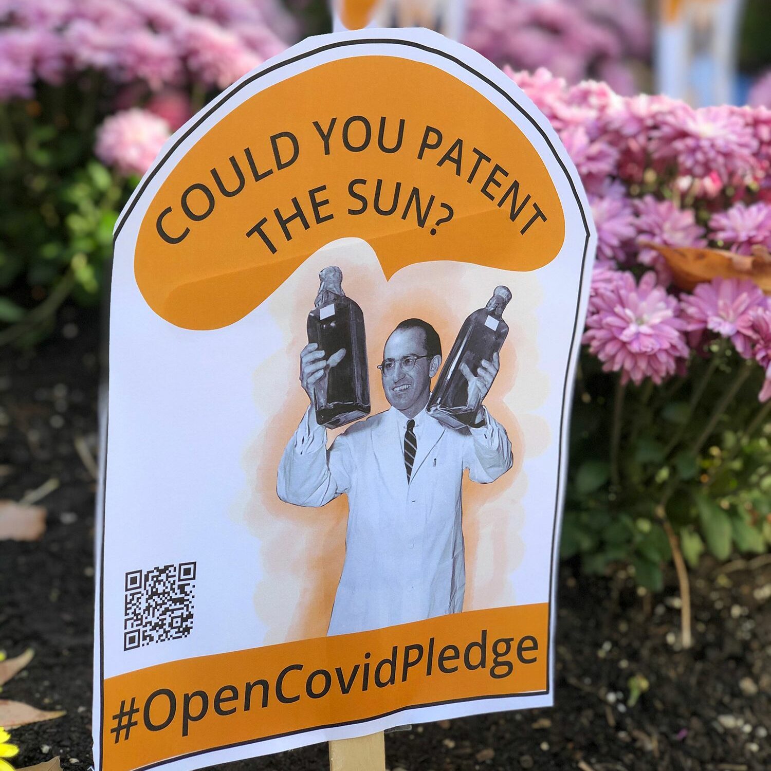 A playful tombstone with the ghost of Jonas Salk asking, "could you patent the sun?" #OpenCovidPledge appears along the base.