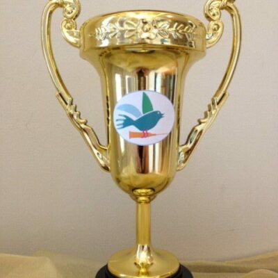 FTV Golden Cup