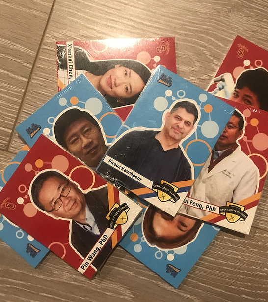 Access Warrior Trading Cards